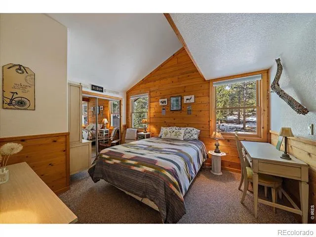 143 Crockett Trail Ward, CO 80481