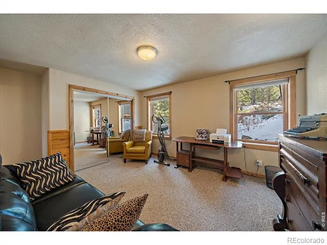 143 Crockett Trail Ward, CO 80481