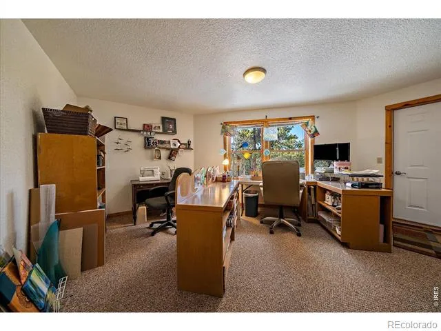 143 Crockett Trail Ward, CO 80481
