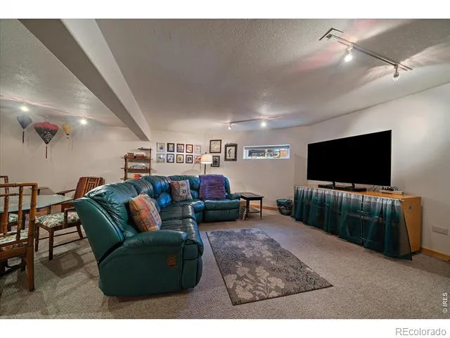 143 Crockett Trail Ward, CO 80481