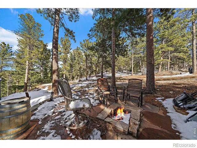 143 Crockett Trail Ward, CO 80481