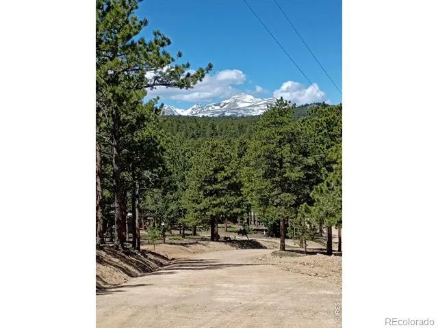 143 Crockett Trail Ward, CO 80481