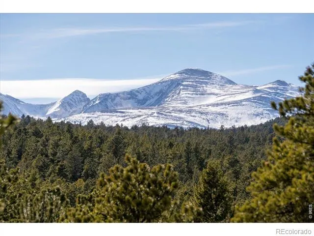 143 Crockett Trail Ward, CO 80481