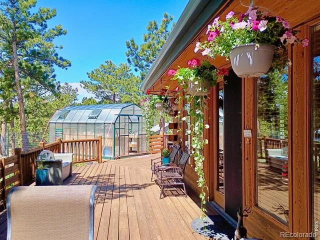 143 Crockett Trail Ward, CO 80481