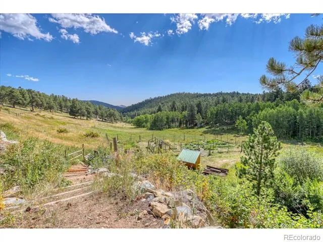 143 Crockett Trail Ward, CO 80481