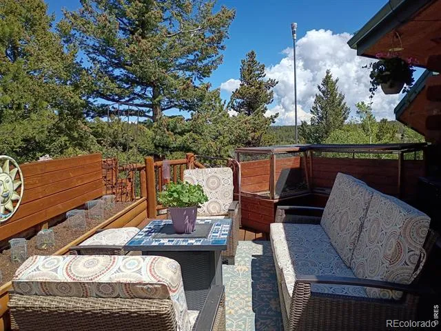 143 Crockett Trail Ward, CO 80481