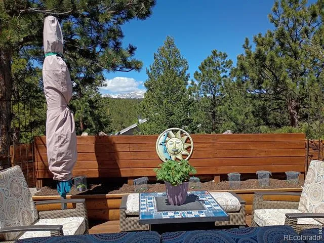 143 Crockett Trail Ward, CO 80481