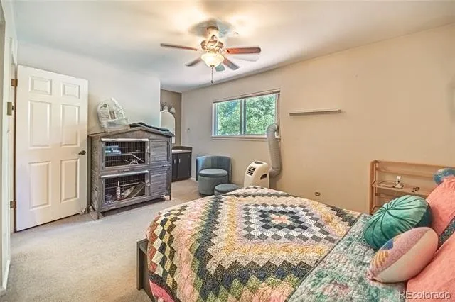 3110 Sumac Street Fort Collins, CO 80526