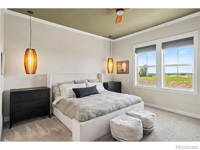 4328 Ardglass Lane Timnath, CO 80547