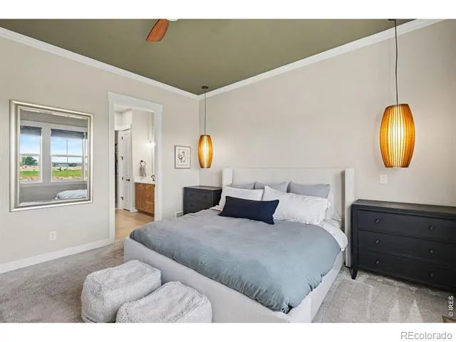 4328 Ardglass Lane Timnath, CO 80547