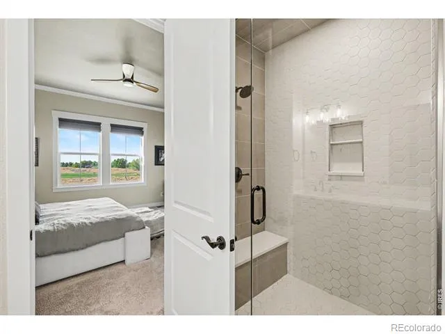 4328 Ardglass Lane Timnath, CO 80547