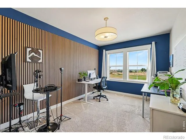 4328 Ardglass Lane Timnath, CO 80547