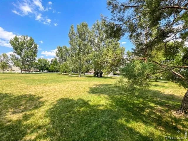 551 Marcellina Drive Loveland, CO 80537