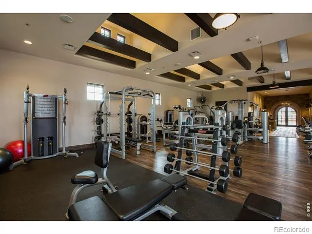4304 Ardglass Lane Timnath, CO 80547
