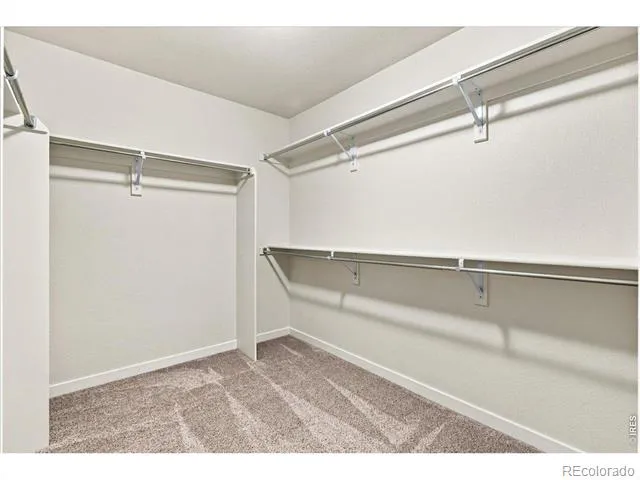 1123 Ibex Drive Severance, CO 80550