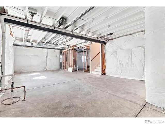 1123 Ibex Drive Severance, CO 80550