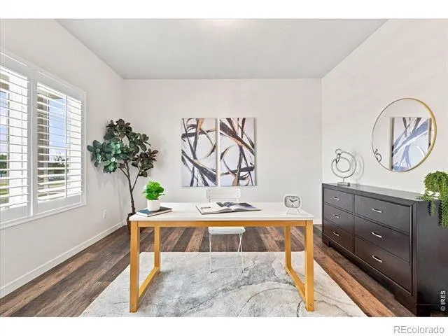 1123 Ibex Drive Severance, CO 80550