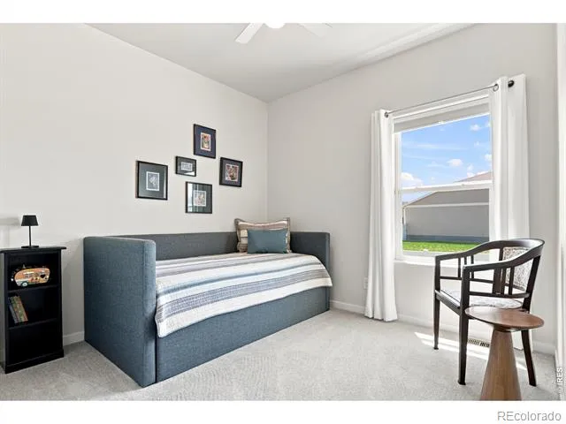 867 Sunlight Peak Drive Severance, CO 80550