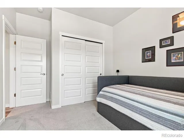 867 Sunlight Peak Drive Severance, CO 80550