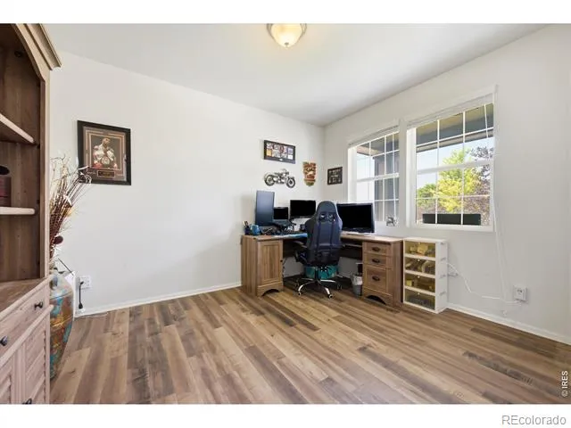 1553 Grand Avenue Windsor, CO 80550