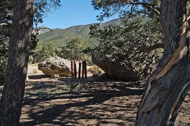 3572 Camino Baca Grande Crestone, CO 81131