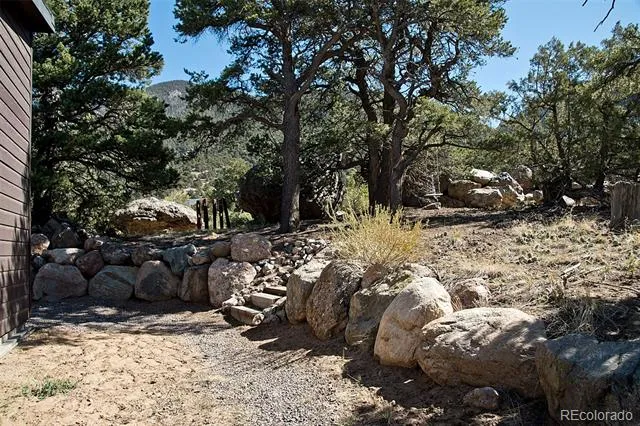 3572 Camino Baca Grande Crestone, CO 81131