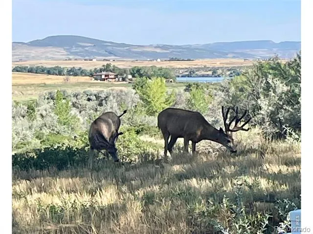 4741 Highway 1 Fort Collins, CO 80524