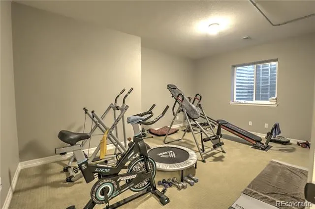 4061 Pennycress Drive Johnstown, CO 80534