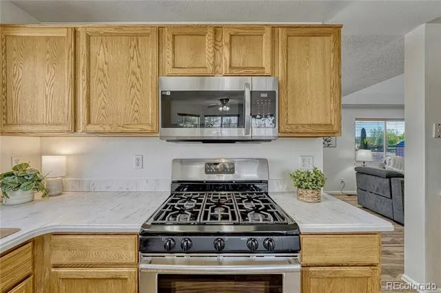 23033 Blackwolf Way Parker, CO 80138