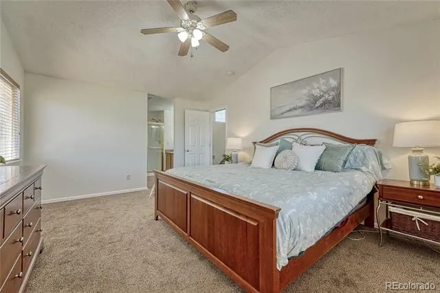 23033 Blackwolf Way Parker, CO 80138