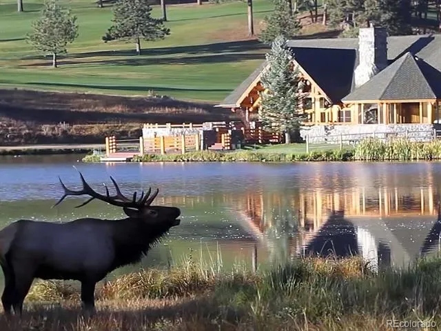 2122 Cramner Court Evergreen, CO 80439