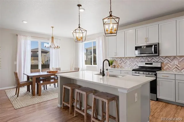 13548 Tree Sparrow Lane Parker, CO 80134