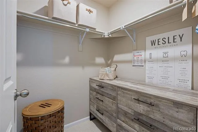 13548 Tree Sparrow Lane Parker, CO 80134