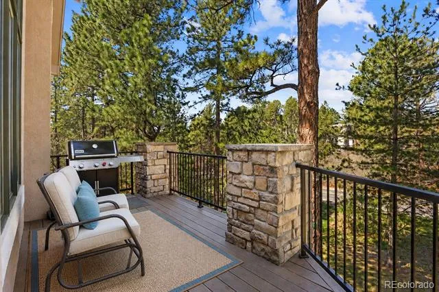 4511 Silver Cliff Court Castle Rock, CO 80108
