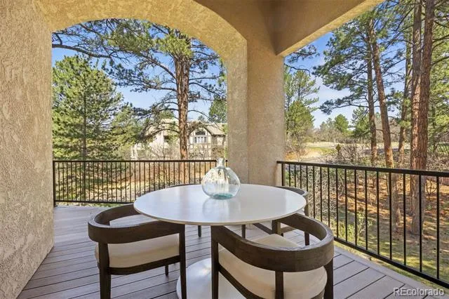 4511 Silver Cliff Court Castle Rock, CO 80108
