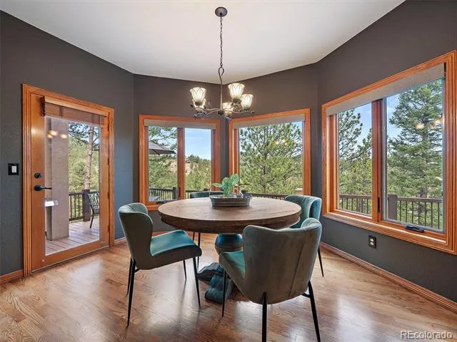 13695 May Long Court Pine, CO 80470