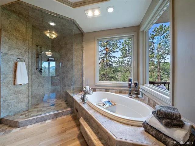 13695 May Long Court Pine, CO 80470