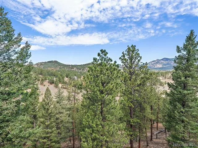 13695 May Long Court Pine, CO 80470