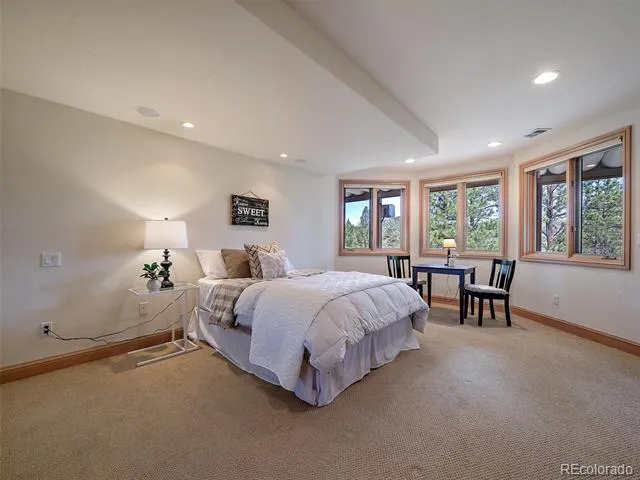 13695 May Long Court Pine, CO 80470