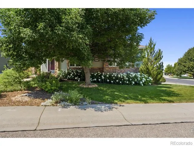 8493 Castaway Drive Windsor, CO 80528