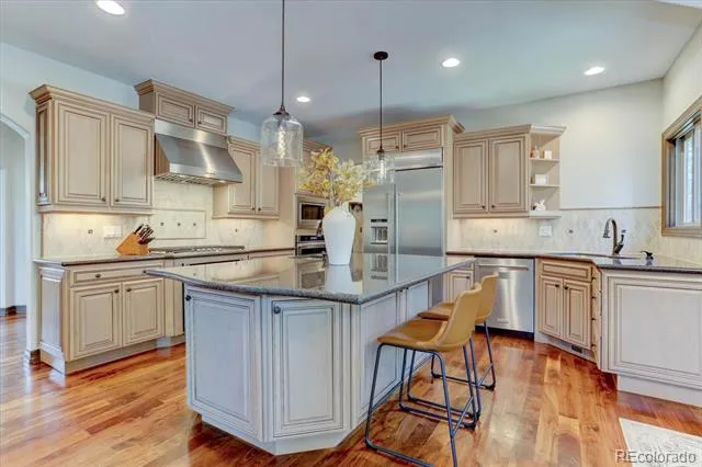 5225 Serene View Way Parker, CO 80134