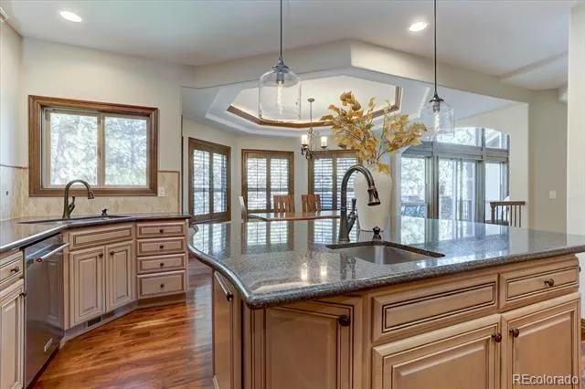 5225 Serene View Way Parker, CO 80134