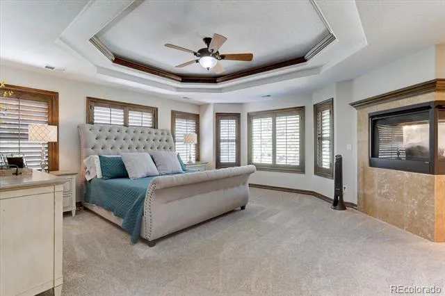 5225 Serene View Way Parker, CO 80134