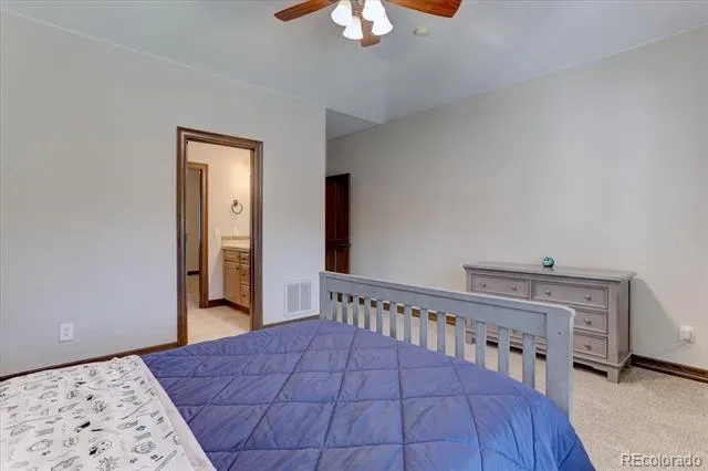 5225 Serene View Way Parker, CO 80134