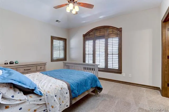 5225 Serene View Way Parker, CO 80134