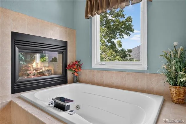 10852 Bobcat Terrace Lone Tree, CO 80124