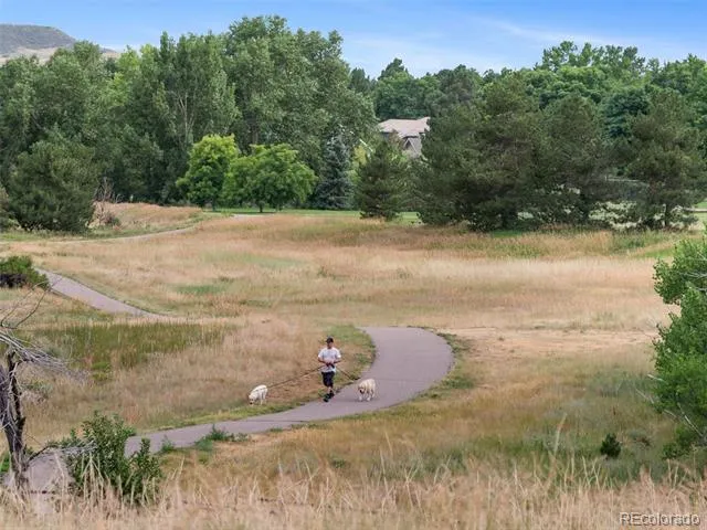 8159 Lodgepole Trail Lone Tree, CO 80124