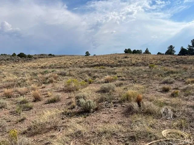 76760 Lewis Smith Road Fort Garland, CO 81133