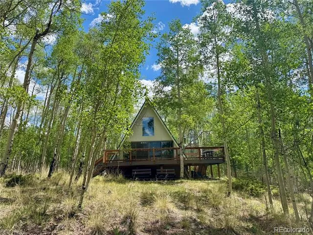 206 Empire Circle Leadville, CO 80461