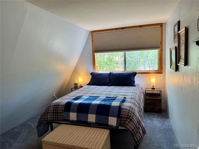 206 Empire Circle Leadville, CO 80461